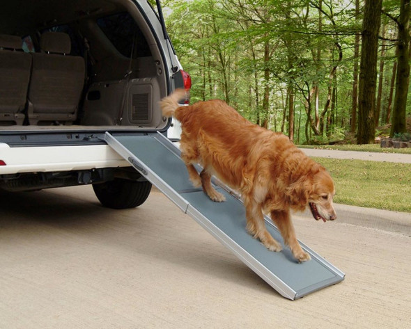 PetSafe Happy Ride Telescoping Pet Ramp for Dogs - Grey - Regular