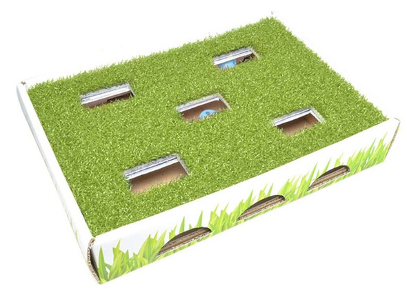 Petstages Grass Patch Hunting Box Cat Toy - White