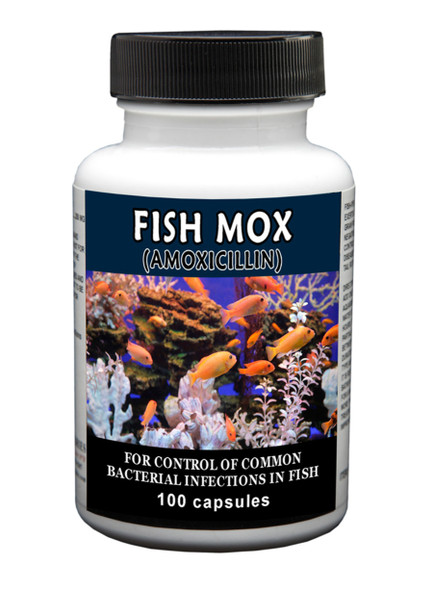 Thompson Labs Fish Mox Amoxicillin 250mg Antibacterial Medication - 100 ct