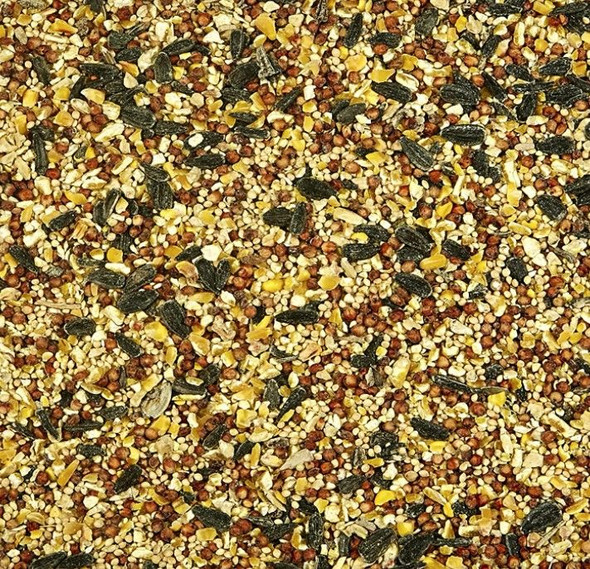 Kaytee Wild Bird Food Basic Blend With Grains And Black Oil Sunflower Seed 20 lbs