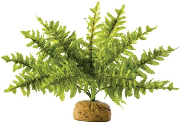 Exo Terra Boston Fern Terrarium Plant Small - 1 count