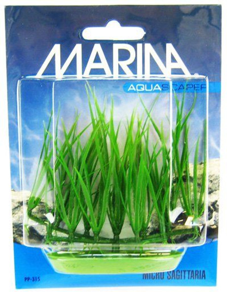 Marina Foreground Micro Sagittaria Aquarium Plant Micro Sagittaria Aquarium Plant