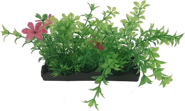 Penn Plax Green and Pink Bunch Plants Medium 1 count