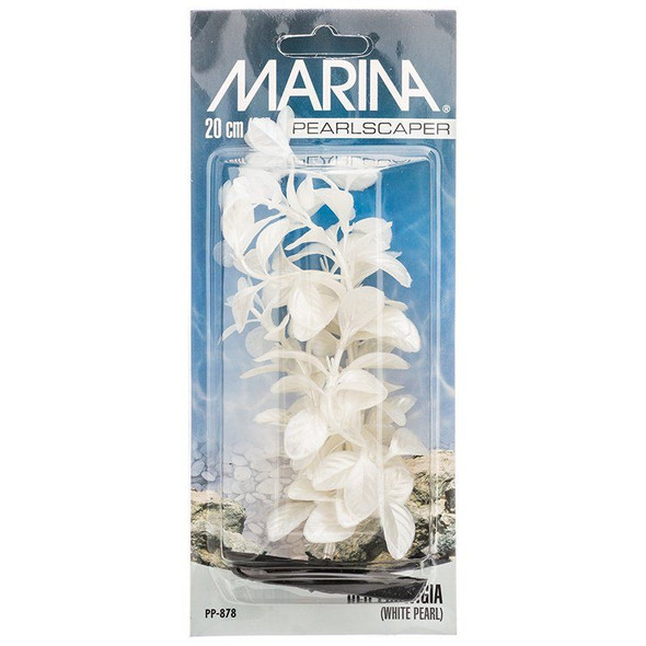 Marina Pearlscaper Ludwigia Plant - White Pearl 8 Tall