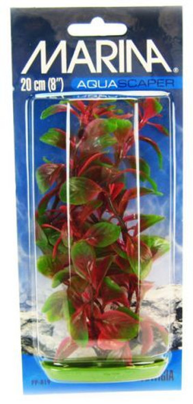 Marina Red Ludwigia Plant 8 Tall