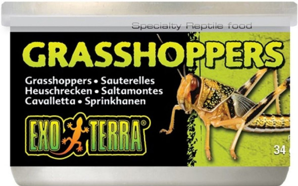 Exo-Terra Grasshoppers Reptile Food 1.2 oz (34 g)