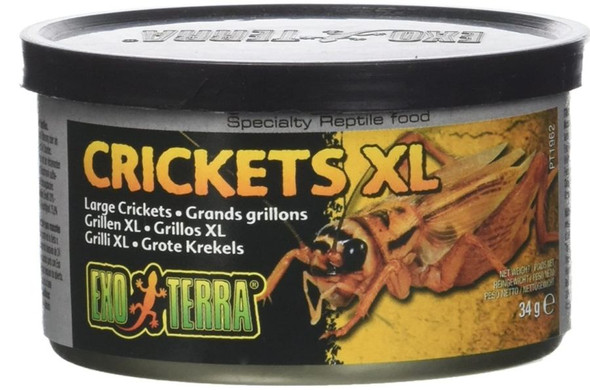 Exo Terra Canned Crickets XL Specialty Reptile Food 1.2 oz