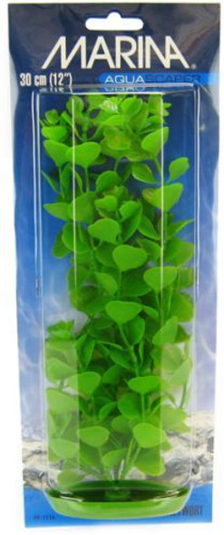 Marina Aquascaper Moneywort Plant 12 Tall