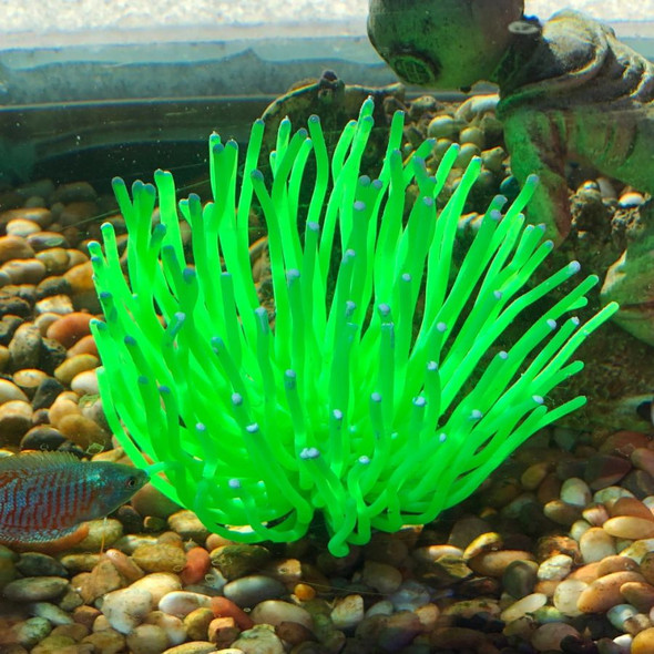 Aquatic Creations Aquarium Decor X-Large Anemone Green 1 Count