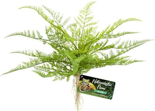 Zoo Med Naturalistic Flora Lace Fern 1 count