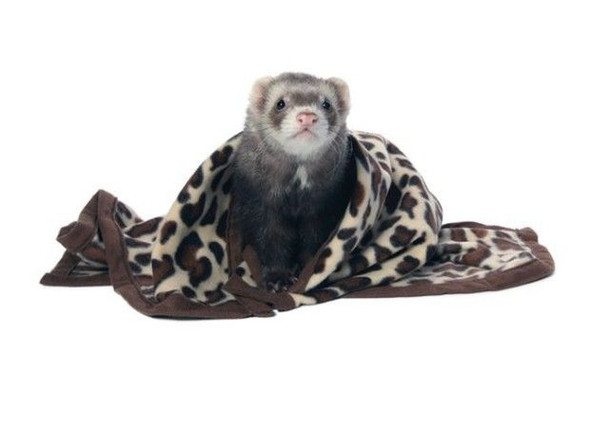 Marshall Designer Fleece Blanket for Small Animals 1 count