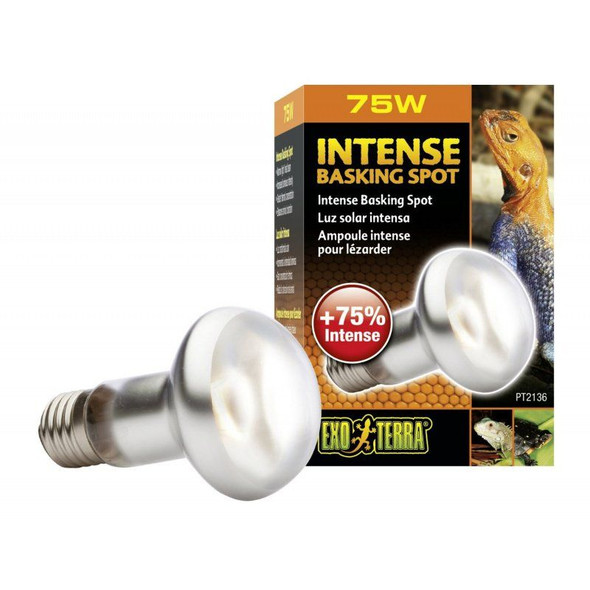 Exo-Terra Sun Glo Tight Beam Basking Spot Lamps 75 Watts