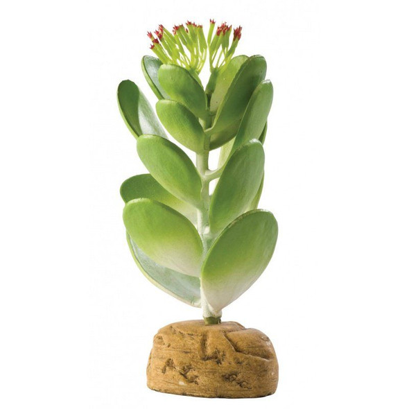 Exo-Terra Desert Jade Cactus Terrarium Plant 1 Pack