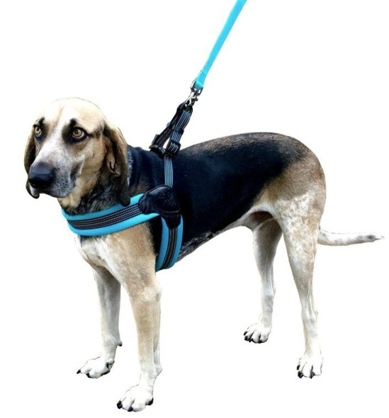 Sporn Easy Fit Dog Harness Blue Medium 1 count