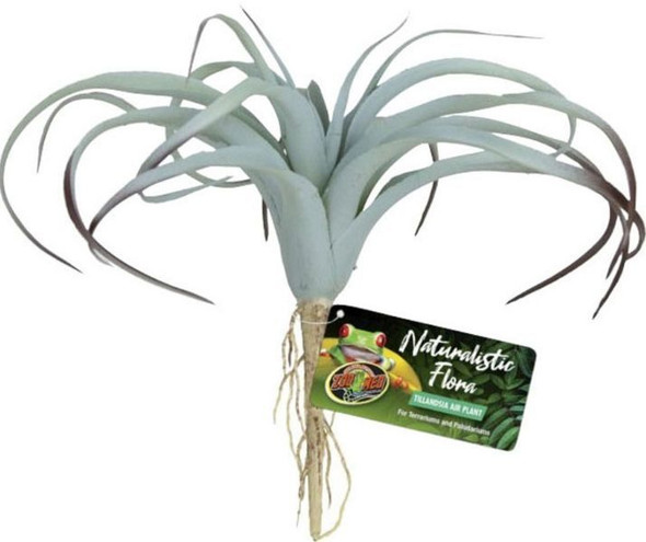 Zoo Med Naturalistic Flora Tillandsia Air Plant 1 count