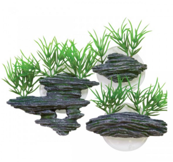 This fantastic, unique decoration is a great addition for any aquarium. The naturalistic design will look great in any setting! It is easily affixed to any glass wall with the included suction cup!