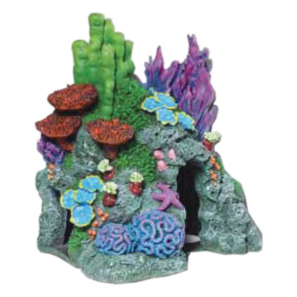 <body><p>Blue Ribbon Exotic Environments Red Sea Hide-Away 8 x 6 x 8.5 inches. Colorful Red Sea Hide-Away replica features aeration holes and 2 large swim-through chambers - Realistic in detail, featuring a colorful array of exotic sea life with true to life detail and texture cast in durable poly-resin safe for all freshwater and saltwater aquariums and terrariums.</p></body>