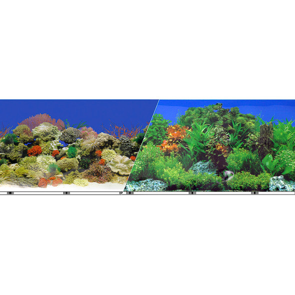 <body><p>Blue Ribbon Vibran-Sea Double Sided Background Black and Freshwater Tropical 12 inches x 50 feet. Dispensed from a 50 foot roll, marked with UPC bar code every foot. Waterproof, each background is double sided with photo quality scenes, most available in assorted sizes.</p></body>