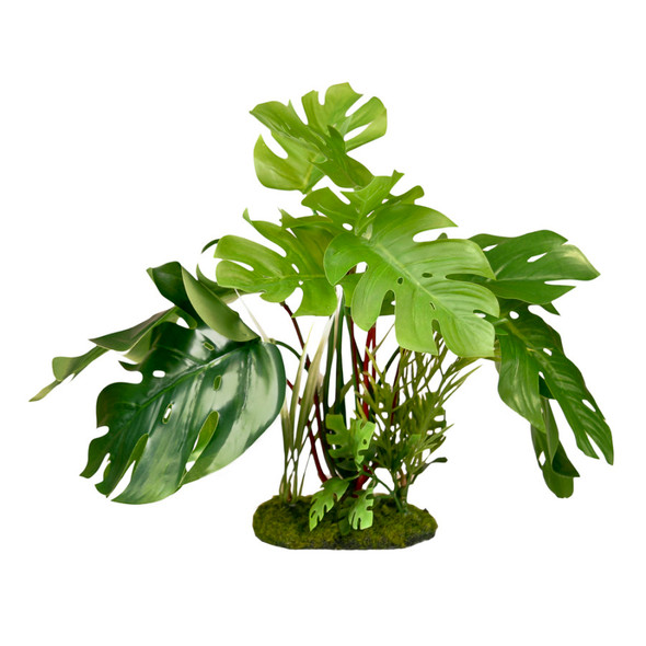 <body><p>Blue Ribbon ColorBurst Florals Split Green Leaf Philodendron. Designed with natural colors, this gravel base plant anchors nicely, with soft plastic leaves and branches that are sturdy enough to stand up on their own, but soft enough to sway in the water. Great for terrariums. Safe for fresh or salt water.</p></body>