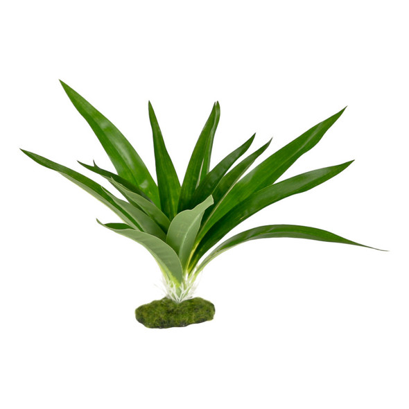 <body><p>Blue Ribbon ColorBurst Florals Dracaena Deremensis Broad Leaf - Green. Designed with natural colors, this gravel base plant anchors nicely, with soft plastic leaves and branches that are sturdy enough to stand up on their own, but soft enough to sway in the water. Great for terrariums. Safe for fresh or salt water.</p></body>