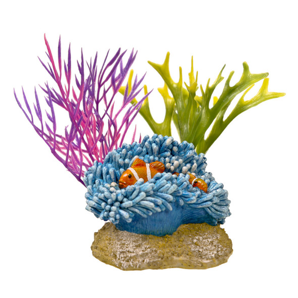 <body><p>Two colorful clownfish darting in & out of a beautiful anemone, will enhance any tankscape. Perfect for small or medium aquarium, safe & non-toxic for all fresh or saltwater.</p></body>