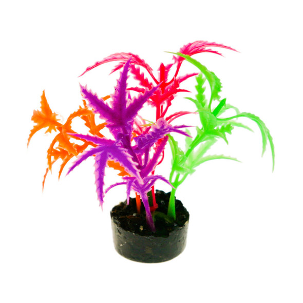 <body><p>GLOWS under black light Brilliantly colored, this gravel base plant anchors nicely, with soft plastic leaves & branches that are sturdy enough to stand up on their own, but soft enough to sway in the water. Safe for fresh or salt water.</p></body>