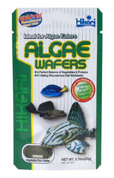 <body><p>Nutrition specifically formulated for the hard-to-feed Plecostomus, but excellent for all algae eaters. Hikari Algae Wafers contain high levels of vegetable matter that algae eaters prefer and love. Vegetable and protein content is balanced to ensure nutrition for proper health and growth. Unique, disc-shaped wafers sink rapidly while retaining its shape. This allows less aggressive species to feed at their leisure without the wafer dissolving or clouding aquarium water. Vegetable-rich Algae Wafers are also great for saltwater fish and other marine herbivores.</p></body>