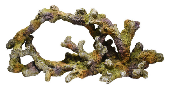 <body><p>Marine Series 7.1 Reef Arch Non-Toxic Resin Ornament</p><ul><li>Marine Series</li> <li>Resin Ornament</li> <li>Non-Toxic</li></ul></body>