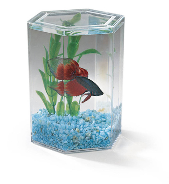 <body><p>The small Beta Keeper makes a wonderful desktop or countertop display piece or create spectacular eye-catching displays by stacking several units. No complicated filtration system is required for this low-maintenance tank. Liquid volume: 24oz.</p></body>