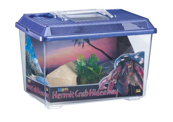 <body><p>Ideal environment for hermit crabs. Contains: Hermit Hut,Detachable night-sky scene,Sponge for watering,Decorative plant,Natural gravel,and Medium Kritter Keeper. Size: 11 3/4in L x 7 3/4in W x 8in H .</p></body>
