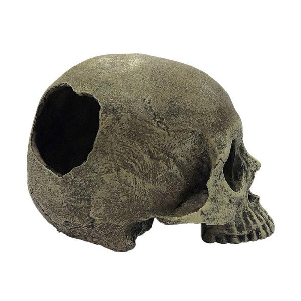 <body><p>Most reptiles do not dominate over humans like they could have done in the past, however, you can make them still feel like they have an edge over us by using Komodo's Half Human skull as a hide. Make your habitat as impressive as your herp. Smooth resin and easy to clean, this hide will look great on land or in water. Perfect for providing shelter and to reduce stress with this secure environment.</p></body>