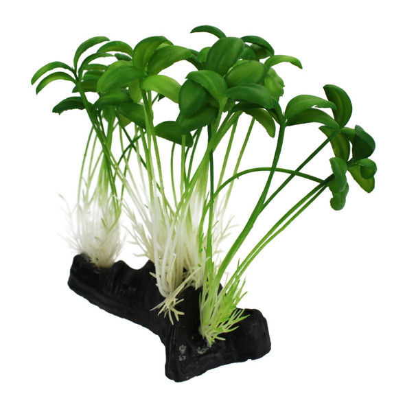 <body><p>This lifelike plant is perfect for an aquarium with a moist environment. The sprouts have a weighted base which makes it harder to tip over.</p><ul><li>Lifelike plant</li> <li>Perfect for an aquarium with a moist environment</li> <li>Weighted base</li></ul></body>