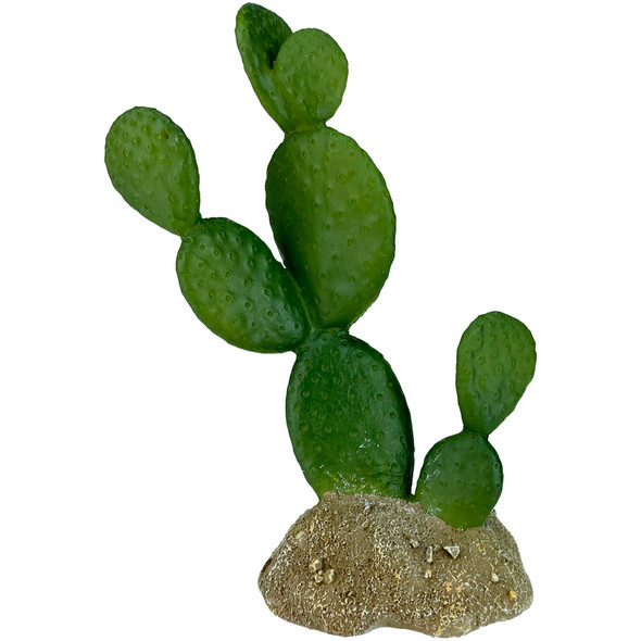 <body><p>Give your tank the natural look it deserves. This replica of the Prickly Pear Cactus is a resin replica of the real plant you would find in your animal's natural habitat. It is easy to clean and maintain. It's textured details and vibrant colors make a great addition to any desert environment.</p><ul><li>Natural look</li> <li>Resin replica of the Prickly Pear Cactus plant you would find in your animal's natural habitat</li> <li>Easy to clean and maintain</li> <li>Textured details and vibrant colors make a great addition to any desert environment</li></ul></body>