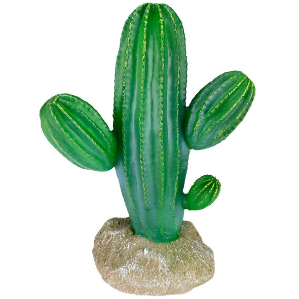 <body><p>Give your tank the natural look it deserves. This replica of the Saguaro Cactus is a resin replica of the real plant you would find in your animal's natural habitat. It is easy to clean and maintain. It's textured details and vibrant colors make a great addition to any desert environment.</p><ul><li>Natural look</li> <li>Resin replica of the Saguaro Cactus plant you would find in your animal's natural habitat</li> <li>Easy to clean and maintain</li> <li>Textured details and vibrant colors make a great addition to any desert environment</li></ul></body>