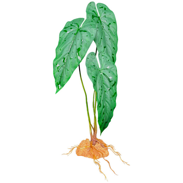 <body><p>Give your tank the natural look it deserves. Decorate your terrarium or aquarium with Komodo's vibrant and realistic Emerald Vine Standing Plant. The sturdy base will keep the plant in place while your pet explores it's beautiful leaves.</p><ul><li>Give your tank the natural look it deserves</li> <li>Vibrant and realistic Plant</li> <li>Sturdy base will keep the plant in place while your pet explores it's beautiful leaves</li></ul></body>