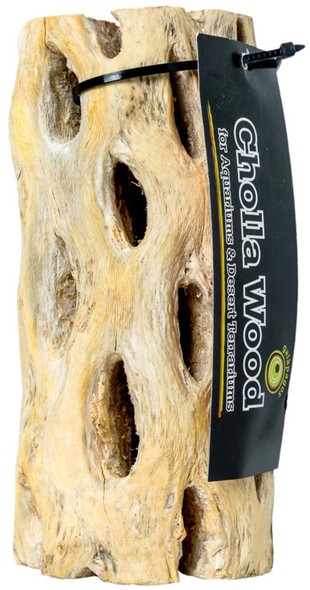 <body><p>Galapagos Cholla Wood is actually a fallen, desert cactus skeleton! It's porous and fibrous texture attract shrimps and aquatic microfauna. They are naturally good anchors for growing aquatic plants and look very intriguing underwater. The Cholla Wood has natural tannins that lower aquatic pH gradually and naturally! Cholla Wood is also classic wood decoration for desert terrariums home to desert snakes, geckos, chameleons, dragons, and iguanas! They even make natural perches for all birds.</p></body>