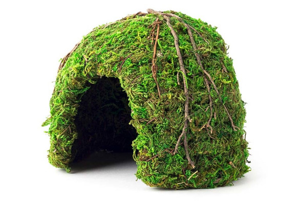<body><p>Galapagos Mossy Domes make the perfect corner hide. Place them in the corner of your tank, cover with Sphagnum Moss or Sheet Moss, and mist with water to create a natural mossy place to burrow and hide! All Mossy Domes are unique additions for reptiles and amphibians and provide a safe hiding place to relax!</p></body>