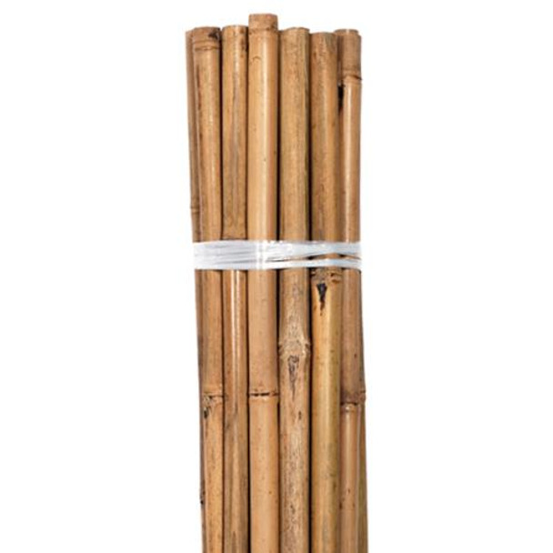 Grower's Edge Natural Bamboo 4 ft Bulk (100/Pack)