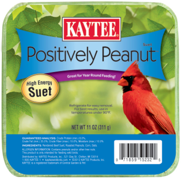 Kaytee Positively Peanut High Energy Mini Suet 11 oz