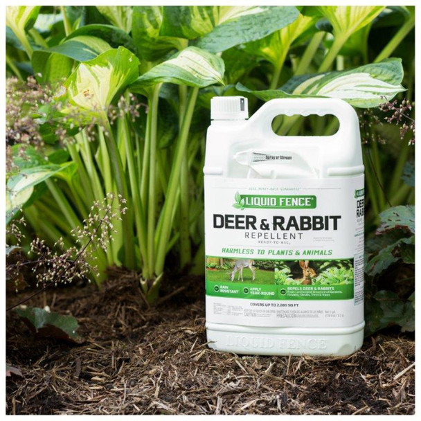 Liquid Fence Deer & Rabbit Repellent Ready to Use - 1 gal