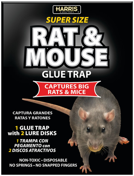 Harris Rat & Mouse Glue Trap - 1 pk