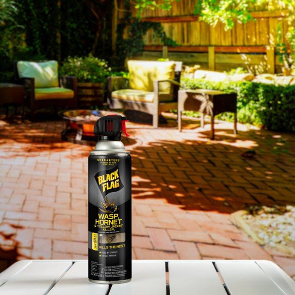 Black Flag Wasp Hornet & Yellow Jacket Killer Aerosol - 14 oz