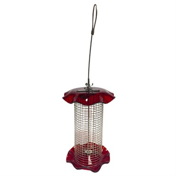 Friends of Flight Acrylic Feeder Red - Seed - 1qt Capacity - 5in Diam x 7in H