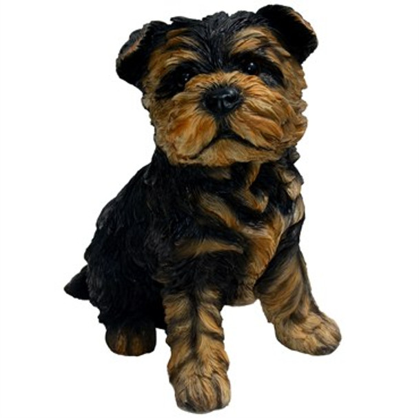 MCarr 8.1" Sgt YorkYorkshire Terrier Puppy