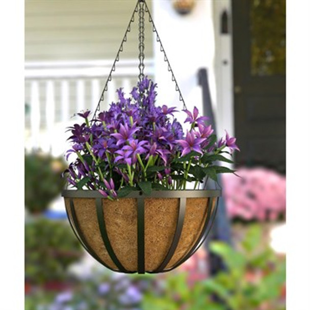 Panacea English Hanging Basket with Coco Liner 12in