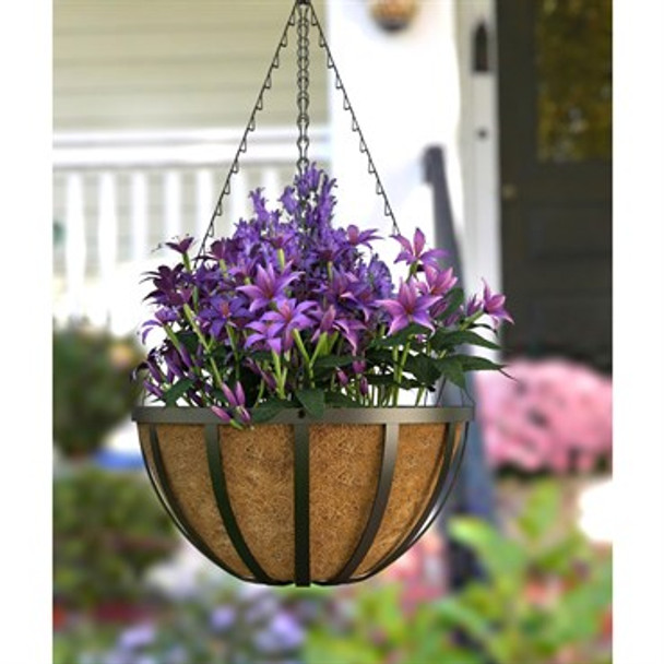 Panacea English Hanging Basket with Coco Liner 14in