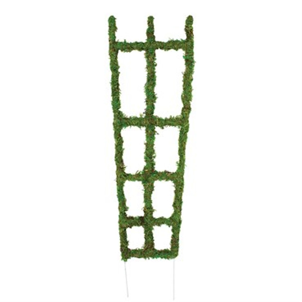 Syndicate Home & Garden Moss Trellis 18in