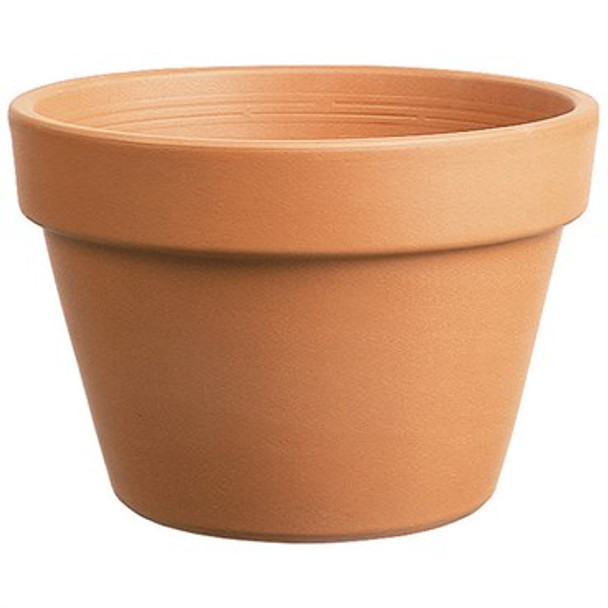 So Patio 6 Azalea ClayPot