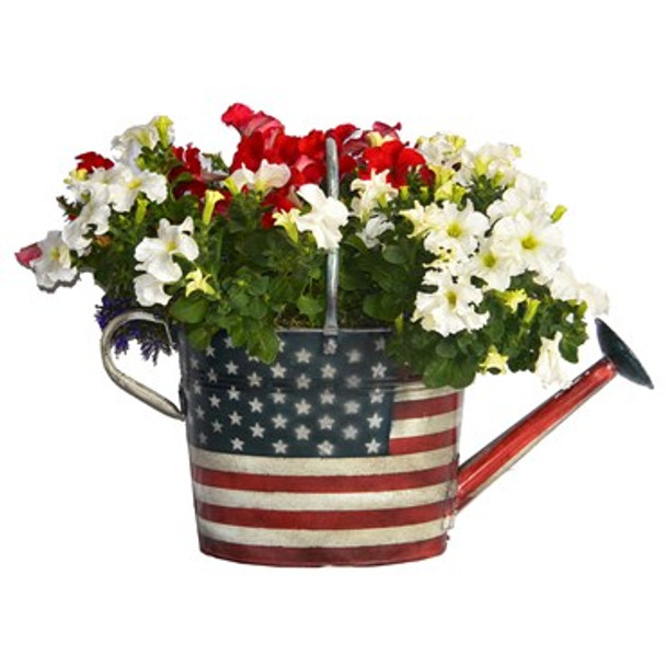 Very Cool Stuff Stars & Stripes Oval Watering Can Planter Stars & Stripes - 13in W