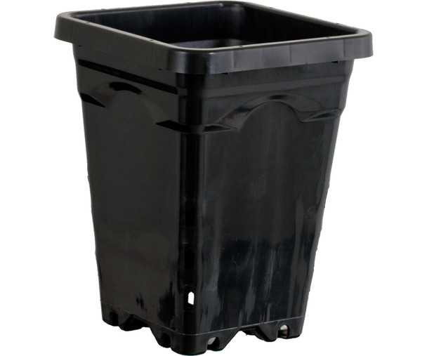 Active Aqua 5 x 5 Square Black Pot, 7 Tall, case of 100